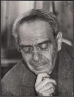 Zelk Zoltán (1906-1981) költő portréja, hátulján feliratozva, 12×9 cm