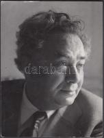 Hidas Antal (1899-1980) műfordító, író portréja, hátulján feliratozva, 12×9 cm