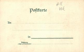 Haut-Barr (Saverne) Hohbarr bei Zabern; castle, litho