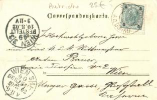 Schönbühl, Schloss Schönbühel; castle, Velten's Künstler-Postkarten No. 353. litho, artist sign...