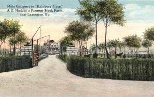 Lexington, Main Entrance to "Hamburg Palace" J.E. Madden's Famous Stock farm (EK)