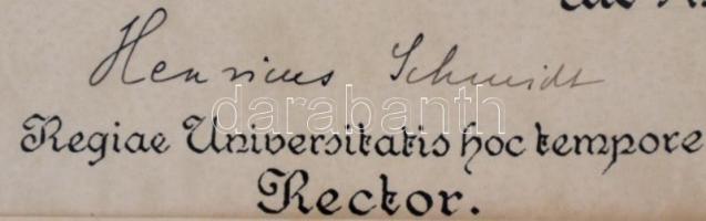 1872 Szeged, a Ferenc József Tudományegyetem jogi doktori kinevezési oklevele, az egyetem rektorának...