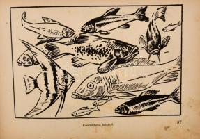 Haranghy Jenő : A rajzolás iskolája a kezdettől a művészetig. Bp., (1943.)Győző Andor. 130 rajzoldal...