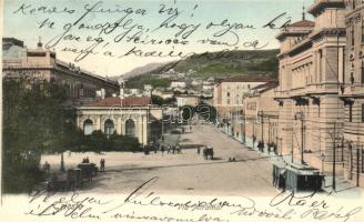 Trieste, Via Miaramar / street, tram