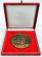 Nagy István János (1938-) 1978. "A Magyar Korona hazatérte emlékére 1978.I.6." Br emlékplakett tokban (96mm) T:2