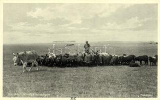 Hortobágy - 15 db főleg régi képeslap