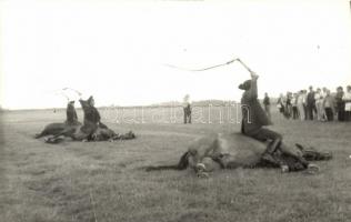 Hortobágy - 15 db főleg régi képeslap