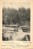 Petrozsény, Fenyőerdő, fűrésztelep / pine forest, saw mill So. Stpl