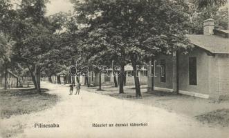 Piliscsaba, Északi tábor