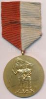 1951. "Bástya S.E. 1951. X. 7. I. díj" aranyozott Br díjérem mellszalagon. Szign.: TK (49m...
