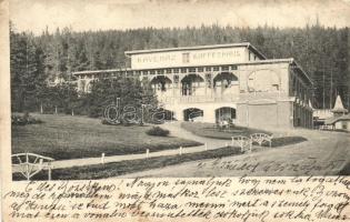 32 db háború előtti, túlnyomórészt magyar városképes lap; tartalmas, szép tétel / 32 mainly pre-1945...