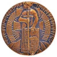 Homonnay Jenő (1883-?) DN "Egyesült Keresztény Nemzeti Liga" réz jelvény (27mm) T:2