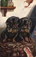 Dachshund dogs (EK)