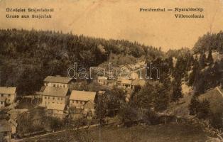 Stájerlak, nyaralótelep / villas (vágott / cut)