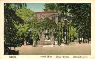 Buziásfürdő, Mihály forrás / spring (EK)