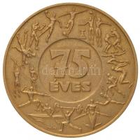 Iván István (1905-1968) 1963. "Magyar Testgyakorlók Köre 1888-1963. / 75 éves" aranyozott fém emlékérem (70mm) T:2 ph.