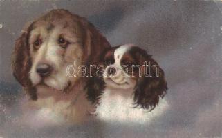 5 db régi KUTYÁS motívumlap / 5 dogs topic postcards