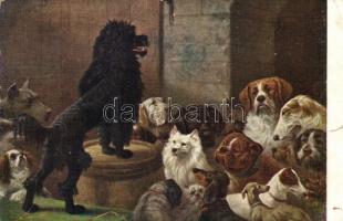 5 db régi KUTYÁS motívumlap / 5 dogs topic postcards