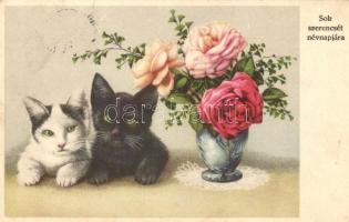 6 db régi MACSKÁS motívumlap / 6 cats topic postcards