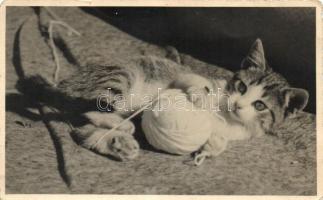 6 db régi MACSKÁS motívumlap / 6 cats topic postcards