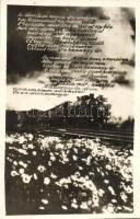 6 db megíratlan Karády dalszöveges képeslap / 6 unused sheet music postcards