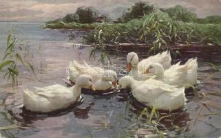 10 db RÉGI motívumlap pár lithoval; művész, hölgy, üdvözlő / 10 old motive cards with some litho; ar...