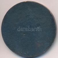 1971. "125 éves a balatoni gőzhajózás 1846-1971" Br emlékérem (42,5mm) T:2