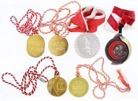 Ausztria 1966-1979. 5db vegyes bronz és fém díj- és emlékérem szalagokkal, közte egy zománcozott T:2 Austria 1966-1979. 5pcs of mixed bronze and metal award and commemorative medallion with ribbons, with one enamelled piece C:XF