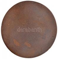 1976. "241. Lórántffy Zsuzsanna Úttörő Csapat 1946-1976" Br emlékérem (91mm) T:2-