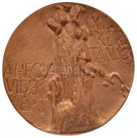 1975. "XII. Kerületi Tanács - A hegyvidékért / 1975." Br plakett (86mm) T:2