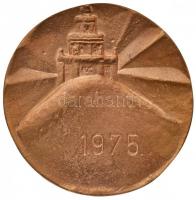 1975. "XII. Kerületi Tanács - A hegyvidékért / 1975." Br plakett (86mm) T:2