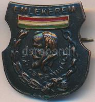 ~1960. "Táncsics Mihály Emlékérem" zománcozott Br jelvény (27x25mm) T:2