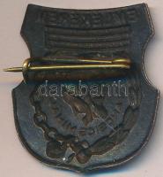 ~1960. "Táncsics Mihály Emlékérem" zománcozott Br jelvény (27x25mm) T:2