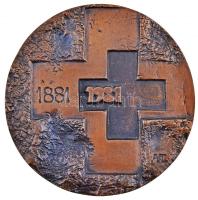 Asszonyi Tamás (1942-) 1981. "1881-1981 / 100 éves a Magyar Vöröskereszt" Br emlékplakett (110mm) T:1-