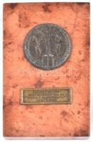 1944. "A Magyar Úszó-Szövetség Bajnoki Érme" fém díjérem (50mm) márványtalpon (145x91mm) +...