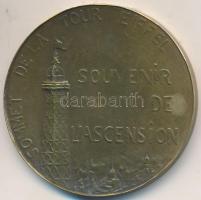 Franciaország ~1890. "Az Eiffel-torony építésére" Br emlékérem (41mm) T:2
France ~1890. &q...