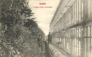 Gödöllő, A királyi kastély narancsháza (EK)