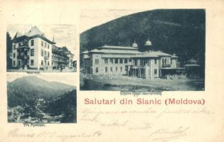 Slanic-Moldova, Hotel Puff, Casino Regal; floral