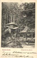 Bártfafürdő, Kénes forrás pihenő, Divald Adolf / source