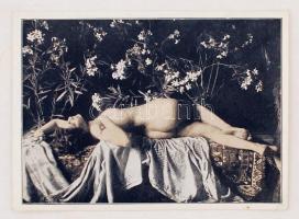 Virágok közt heverő akt, 16x12 cm / Nude picture, 16x12 cm