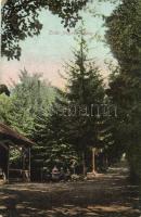 Ránkfüred, Erdei fenyves sétány / forest promenade