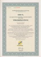 Csurgó 1997. "Napsugár Ruházati Részvénytársaság" törzsrészvénye 1000Ft, 10.000Ft, 50.000Ft és 100.000Ft-ról T:I
