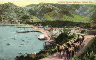 Avalon, Santa Catalina Island