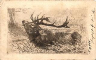 7 db RÉGI szignós motívumlap; vadász sorozat / 7 old artist signed motive cards; hunter series