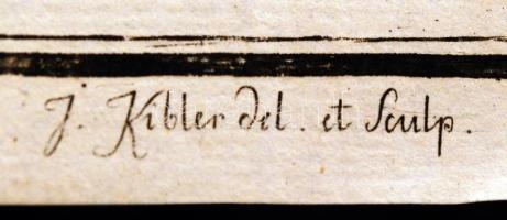 cca XVIII.-XIX. század Szamárkóró/bogáncs növény rajza, metszette J. Kibler, rézmetszet, papír, 34×2...