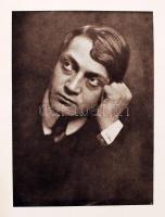 Székely Aladár fényképei írók és művészek. Ady Endre és Ignotus előszavával. Első sorozat. Budapest,...