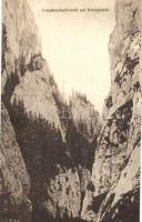 3 db RÉGI használatlan erdélyi képeslap a Déli-Kárpátokból; Bucsecs- és Királykő-hegység / 3 old unu...