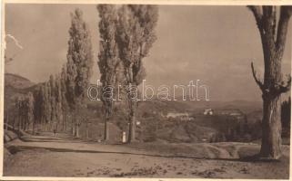 Selmecbánya felé vezető út / road to Selmecbánya photo