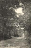 Szobráncfürdő, Szerelmes erdei sétány / forest promenade (EK)