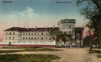 Temesvár, Hunyadi várkastély / castle (EK)